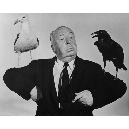 Birds Alfred Hitchcock Photo